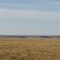 Free Land for Disabled Veterans in Texas
