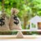 VA Loan for an ADU